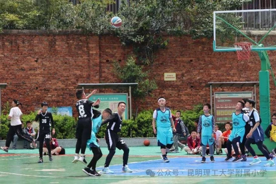 如何设计科学合理的篮球轮换训练方案_2