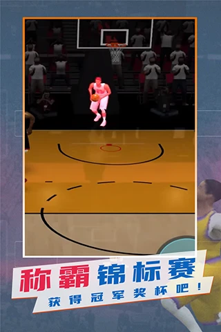 篮球明星分享的试训心得_0